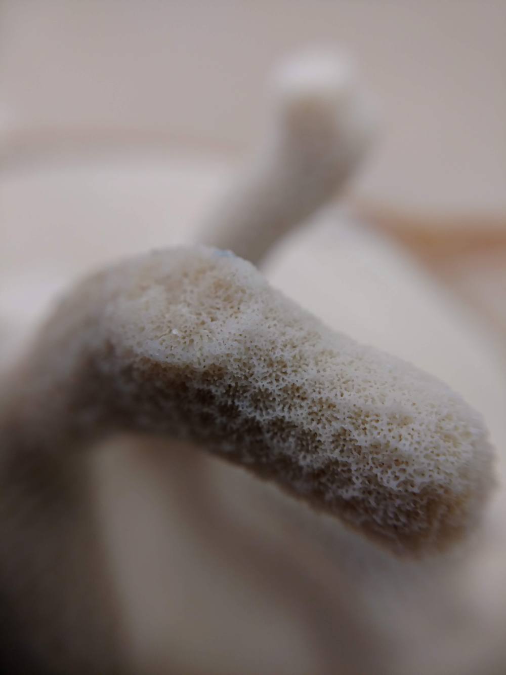 IMG_20190124_170240735