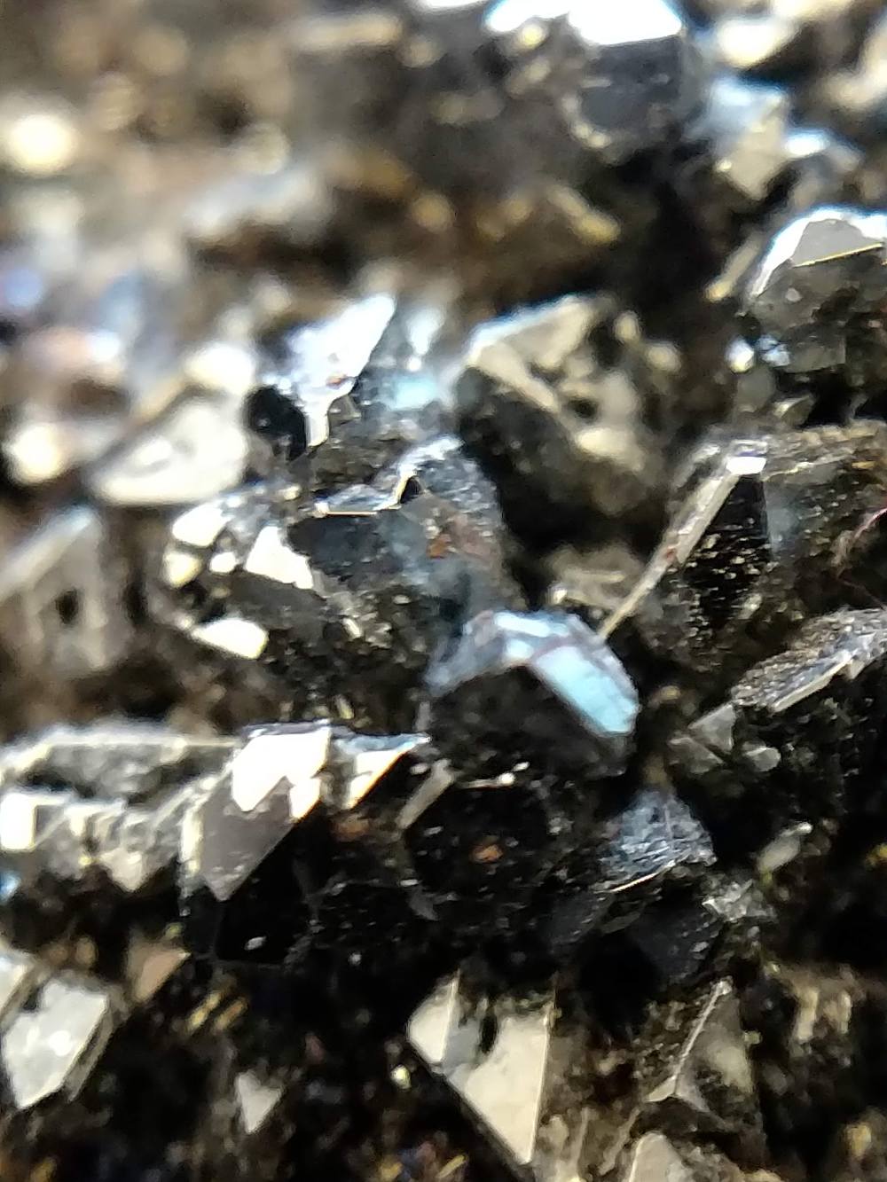 IMG_20190202_132530657_TOP