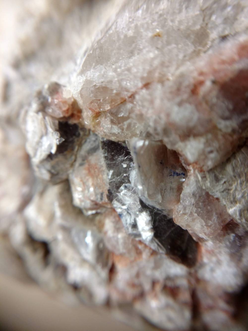 IMG_20190204_083207570