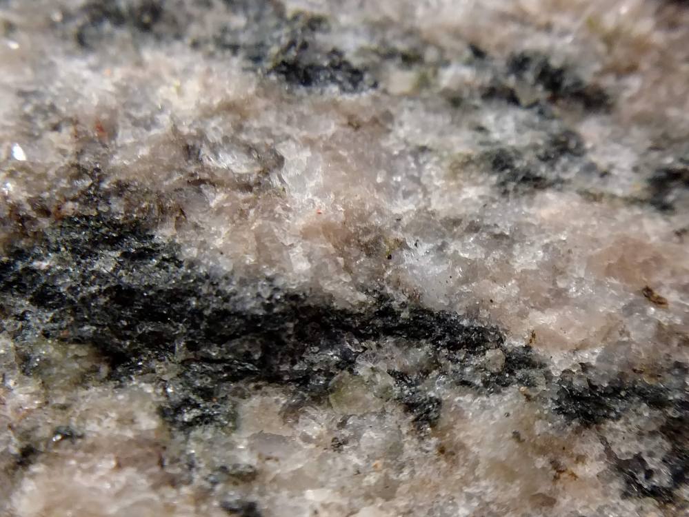 IMG_20190204_083601192