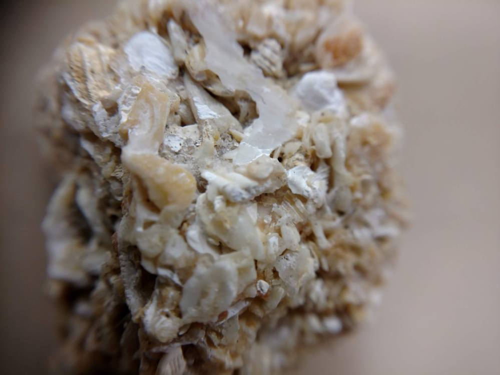 IMG_20190204_083107462