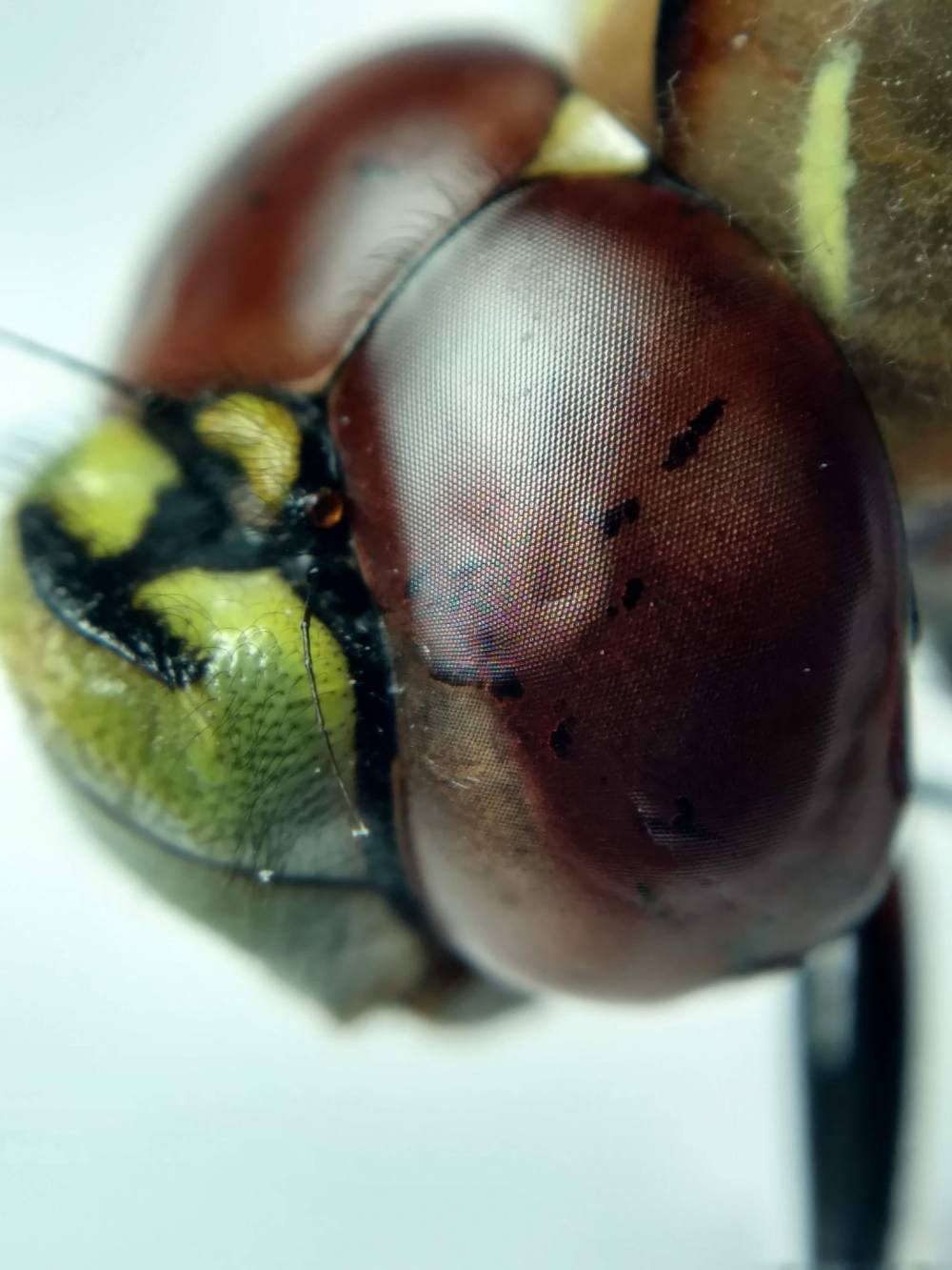 IMG_20190207_215118984_HDR