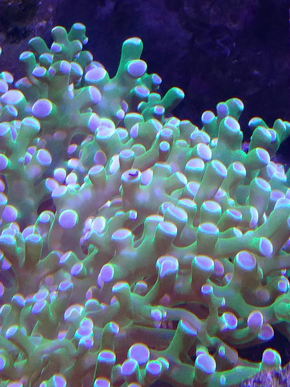 IMG_20190420_125451620