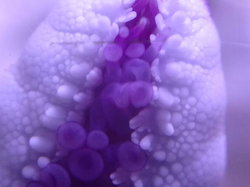 IMG_20190420_125709010