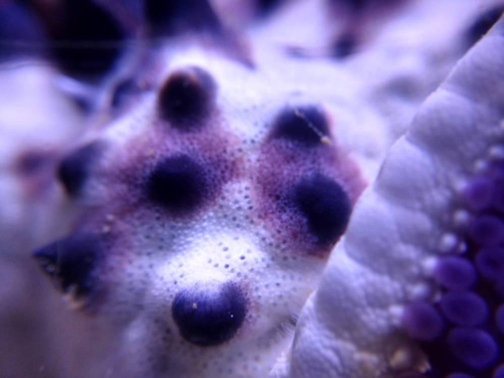 IMG_20190420_125746730_HDR