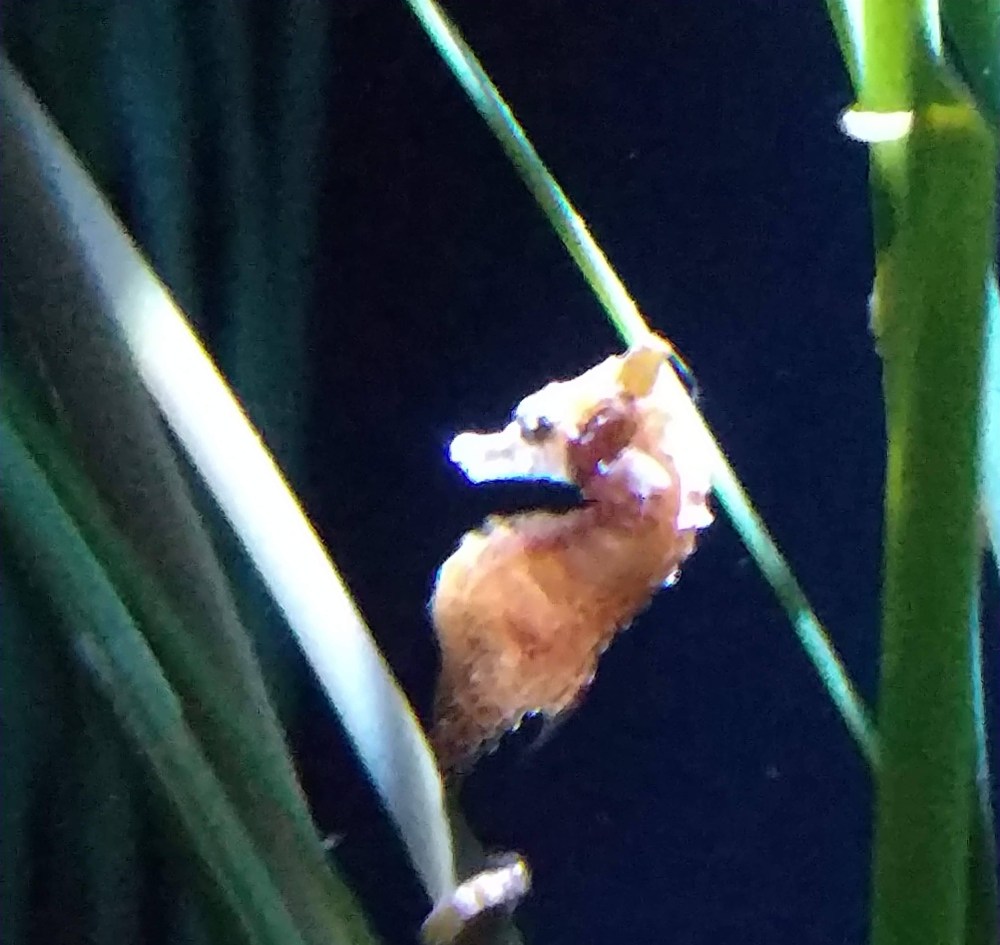 IMG_20190420_130001320