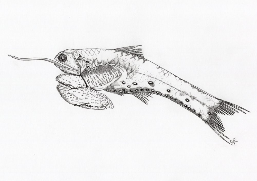 Evolutionary mashup detailed crop Emily Foster