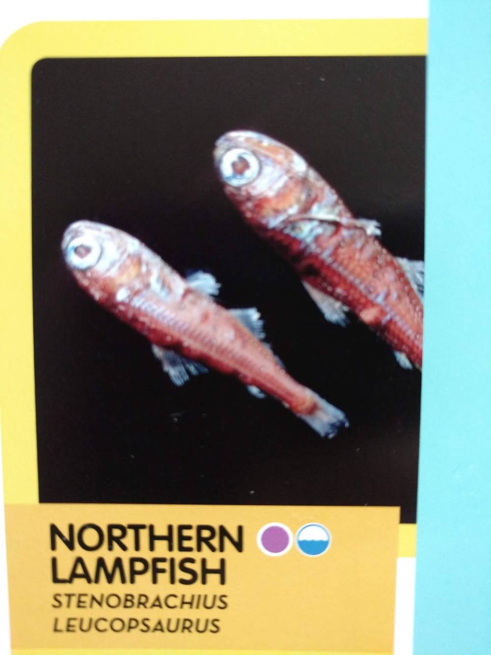 IMG_20190602_200208943