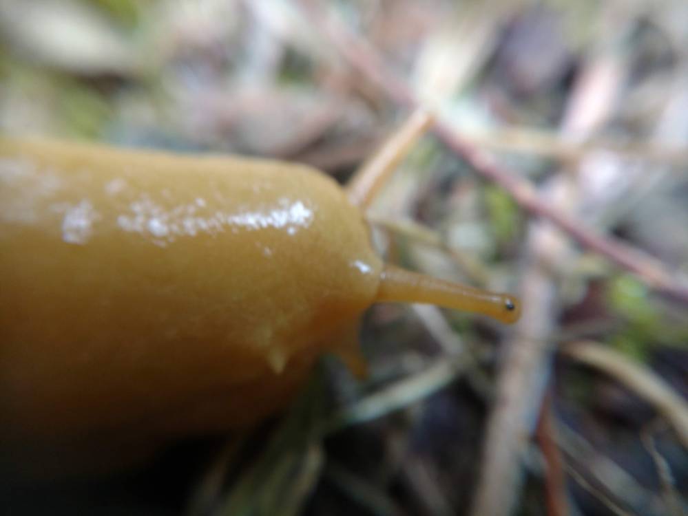 IMG_20190627_073840568