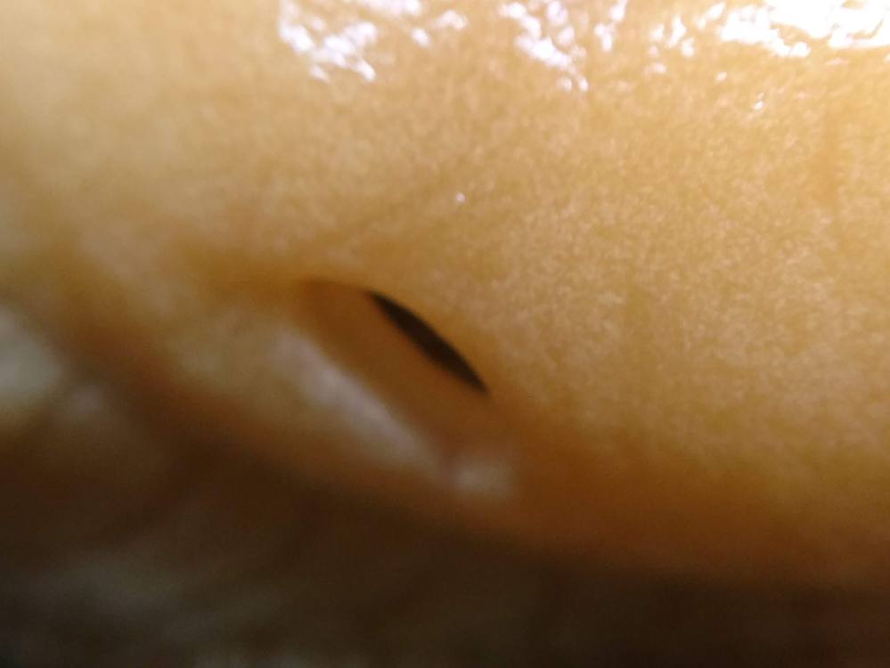 IMG_20190627_073923892_TOP