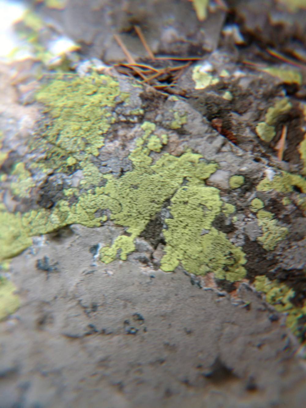 IMG_20190717_102522246