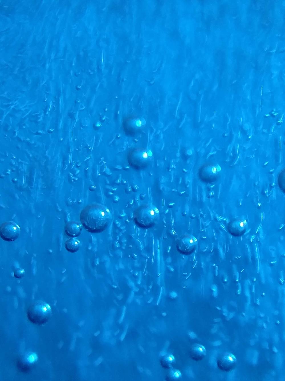 IMG_20191010_215131594_TOP