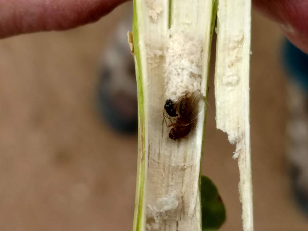 IMG_20191019_114658545_HDR