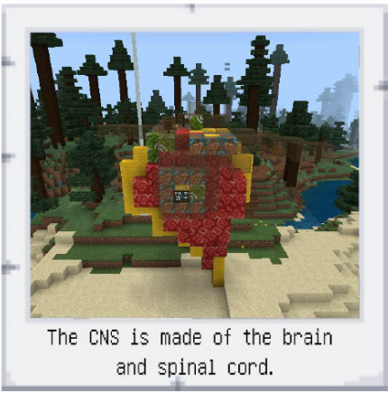 Neuron Minecraft Cells are Cool! Microglial Cells – Life through green tinted glasses